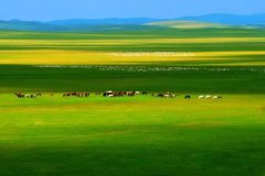 旅游网邀您欣赏夏天最美的六大草原
