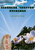 乌拉盖管理区首届“芍药花开不舍离”系列文旅